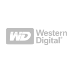 Western_Digital_logo_logotype_emblem